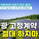 "장기계약을 하자니 현물시장이 바싸네.." 태양광 사업자, 고심 깊어진다.. 한국에너지서비스 하이존TV 구독자 8.06천명 이미지