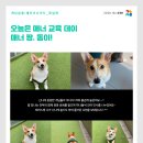 개님살롱레이크사이드 이미지