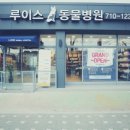 루이스24시동물병원 이미지
