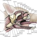 신세계동물의료센터 이미지