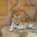 대전아쿠아리움 이미지