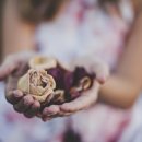 보현산자연휴양림 산 이미지