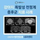 성복동물병원 이미지