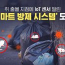 시스템 방제 서비스
