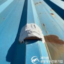 공주볼트