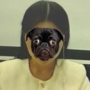 큐유 | 현대모비스 1차면접/2차면접(최종면접) 합격후기/면접꿀팁