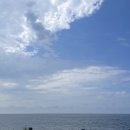 김군아미고민박