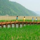 순천-27호 이미지