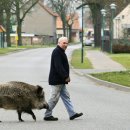 재남농장 이미지