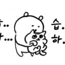 모모폴스튜디오