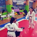 거인태권도 이미지