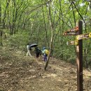 여강길(11코스 동학의길) 이미지