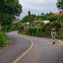 토산중앙교차로 2 이미지