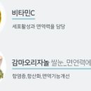 이루다컴퍼니 네이버블로그