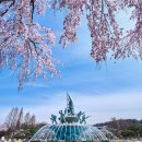 향기나라사랑이 이미지