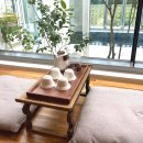 사색공간 풀빌라 이미지