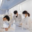 해양환경 이미지