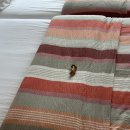 호텔더비 이미지