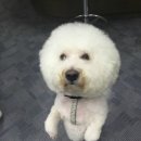 두발로당구장 이미지