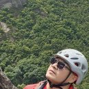 늑대와여우 이미지