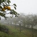 서산기쁨농장 이미지