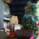 수기1977 이미지