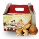 농업회사법인 안영버섯마을㈜ 이미지