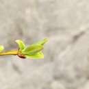 아동심리상담사 이미지