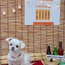 개린이미용실 이미지