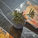 동해대로 | 아이랑 홈 마리나 속초 호텔 디럭스 킹 베드 솔직후기 전망 주차 서비스 버블파티 시간 예약 쿠폰 정보