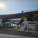 수목원 | [세종] 국립세종수목원 방문 후기