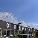 예삐농원 이미지