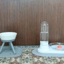 식수대 옆 이미지