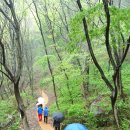 둘레길펜션 이미지