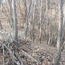 영심농장 이미지