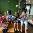 솜니움트리 이미지