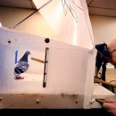 일광 태양광발전소 이미지