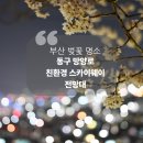 친환경스카이웨이 전망대 | 부산 동구 벚꽃 명소, 친환경 스카이웨이 전망대!