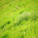 풍호정 | 차박이불 캠핑이불 간절기이불 추천 드리며, 여름 휴가철 갈만한 곳 소개 드려요