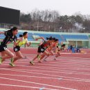 공설운동장(체육경기) 이미지