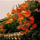 임기 지장암 이미지