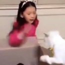 구사