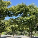 용천토리 오토캠핑장 | :쫄캠핑 [경주 용천토리 오토캠핑장]