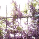 죽전동 행정복지센터 이미지