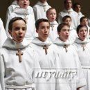 파리나무십자가 소년합창단 내한공연 이미지