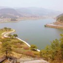 대나무랜드 이미지