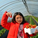 재성농장 이미지