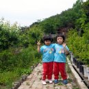 채연농장 이미지