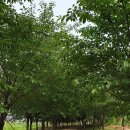 (주)에코송이