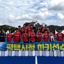 평택시청 이미지